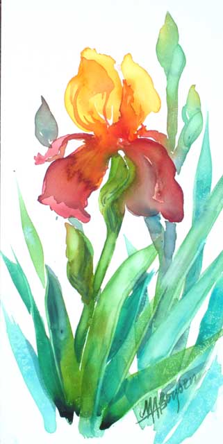 Small Irises