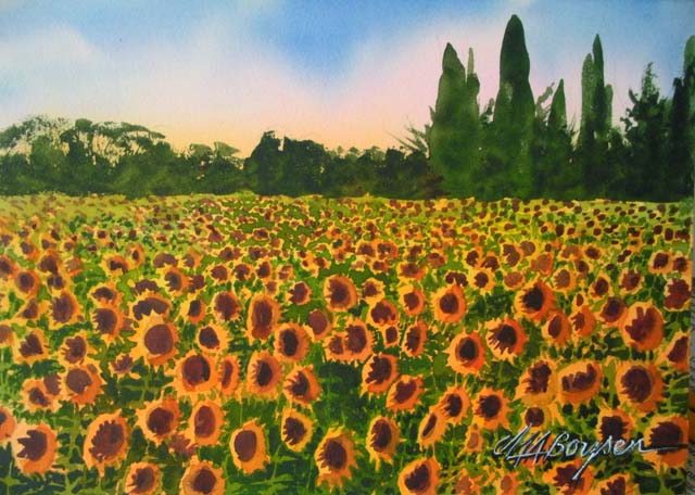 Sunflower Field. image: 5 x 7