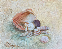 Pensacola Sand and Shells